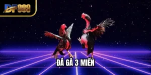 Đá Gà 3 Miền - Khám Phá Sức Hút Đấu Trường Truyền Thống