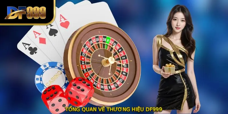 Tổng quan về thương hiệu DF999