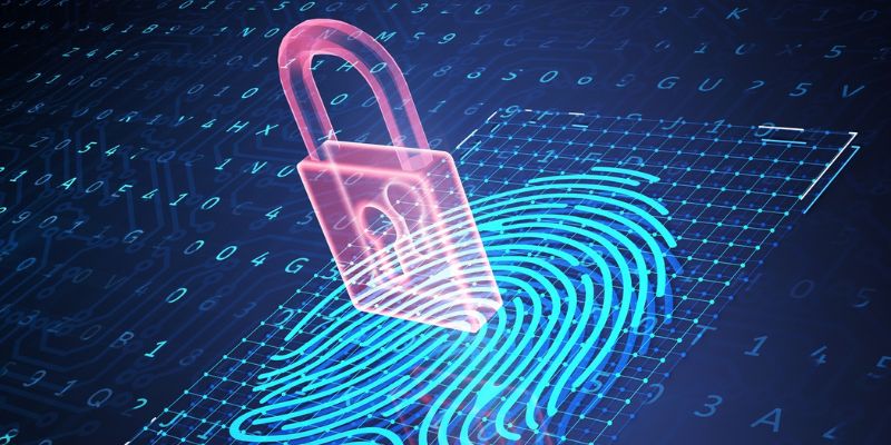 Giấy phép hoạt động là gì?